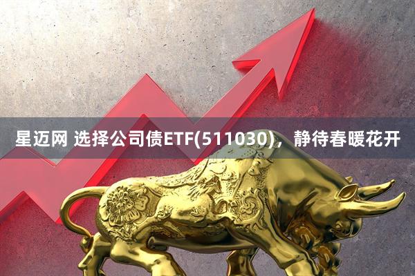 星迈网 选择公司债ETF(511030)，静待春暖花开