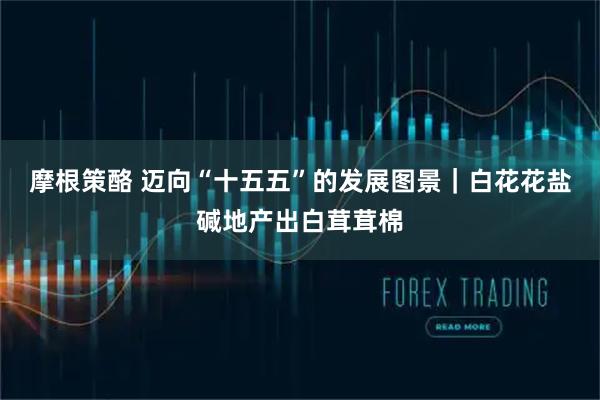 摩根策酪 迈向“十五五”的发展图景｜白花花盐碱地产出白茸茸棉