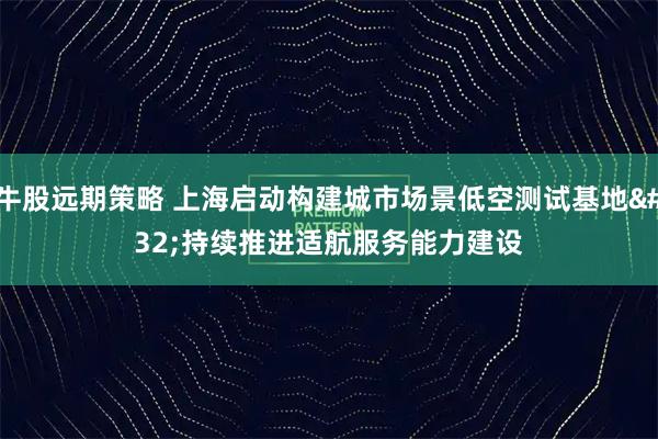 牛股远期策略 上海启动构建城市场景低空测试基地 持续推进适航服务能力建设