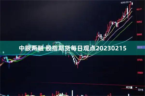 中银两融 股指期货每日观点20230215
