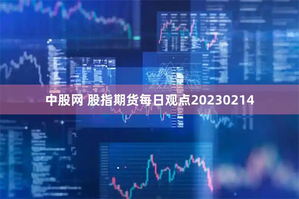 中股网 股指期货每日观点20230214